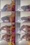 sbi8ipmhfxhovgfc