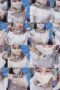 Mbak Cantik Imut Hijab Live Berani Colmek Pakai Timun